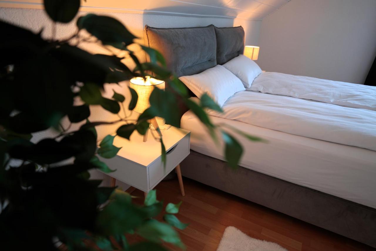 Goldhouse - Sauna, Whirlpool, Switch, Darts & Mehr Andernach Exterior photo